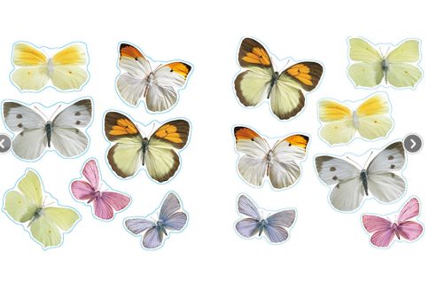 vinilo-decorativo-mariposas
