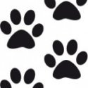 Huellas de perro - Pegatinas para la pared o el piso