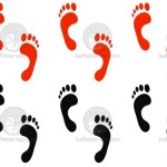 Vinilo Decorativo Patitas