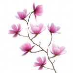 Magnolias magníficas, un vinilo decorativo de IKEA