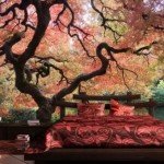 Una vista inolvidable, un jardín japonés en tu dormitorio