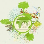 Vinilo Decorativo Ecologico