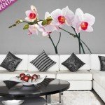 Orquídeas espectaculares para tu sala