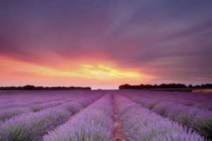 Fotomural de amanecer